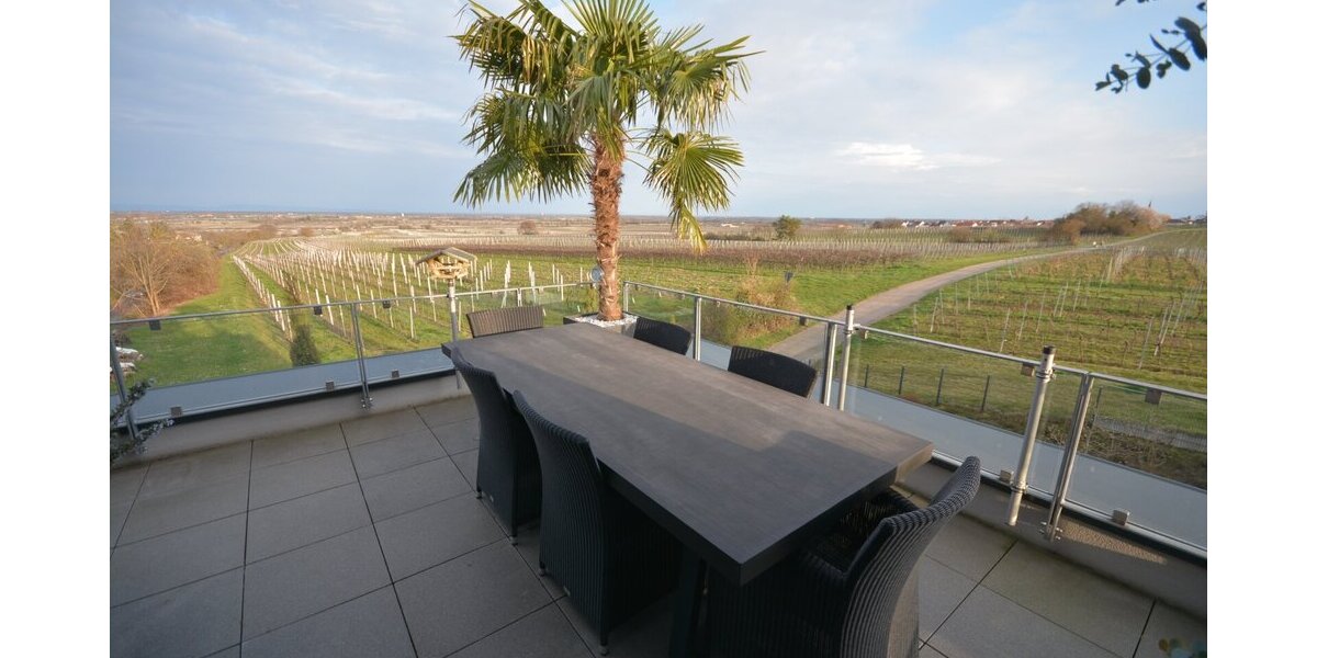 Eine traumhafte, lichtdurchflutete Penthouse-Wohnung mitten in den Weinbergen. - Einfamilienhaus Neustadt an der Weinstraße Hambach | Angebot:25611879