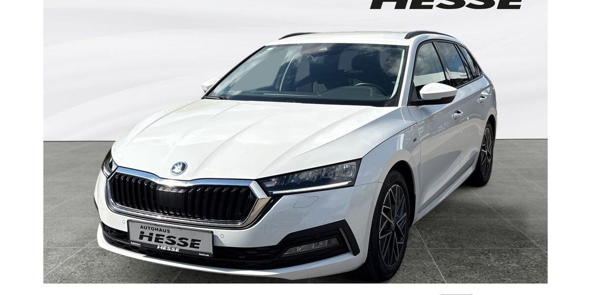 Skoda Octavia 59.118 km 24.930 &euro; Sottrum 27367