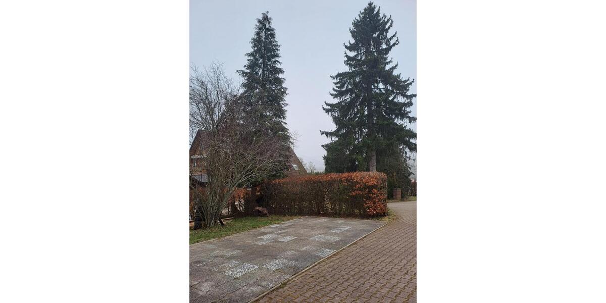 Erdgeschoßwohnung Schramberg - 2 Zimmer, 60 m&sup2;, 550&euro; | Angebot:26429205
