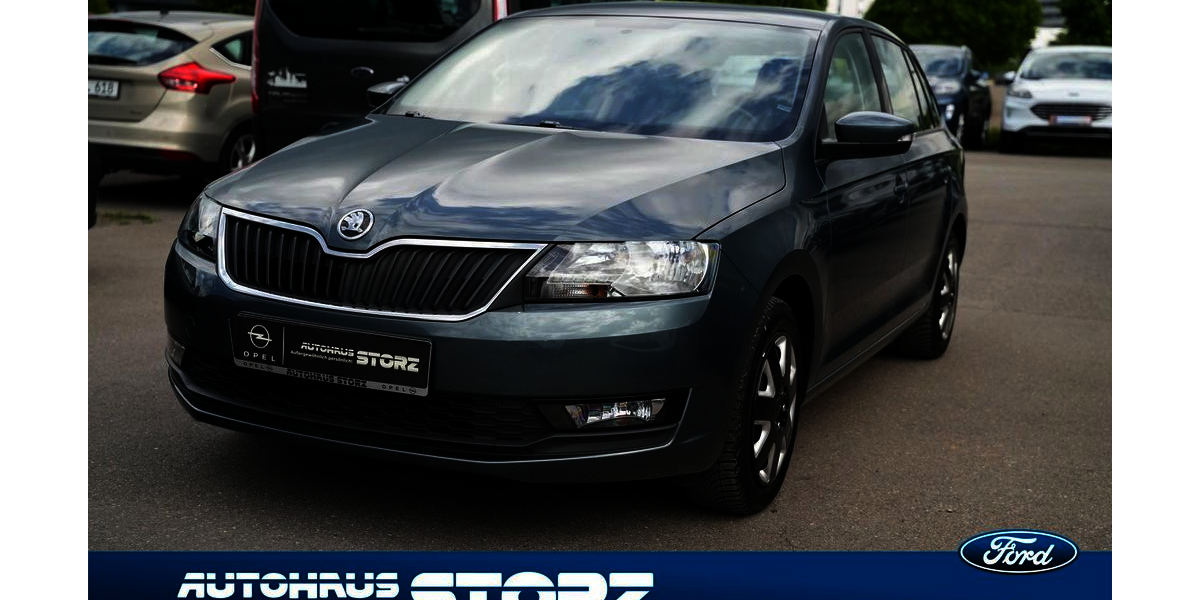 Skoda Rapid 66.936 km 12.900 &euro; Villingen-Schwenningen 78052