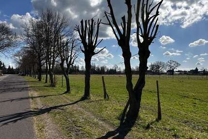 Grundstück Jerchel Jerchel - 80.000&euro; | Angebot:20173338