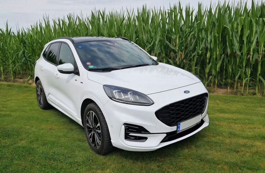 Kuga