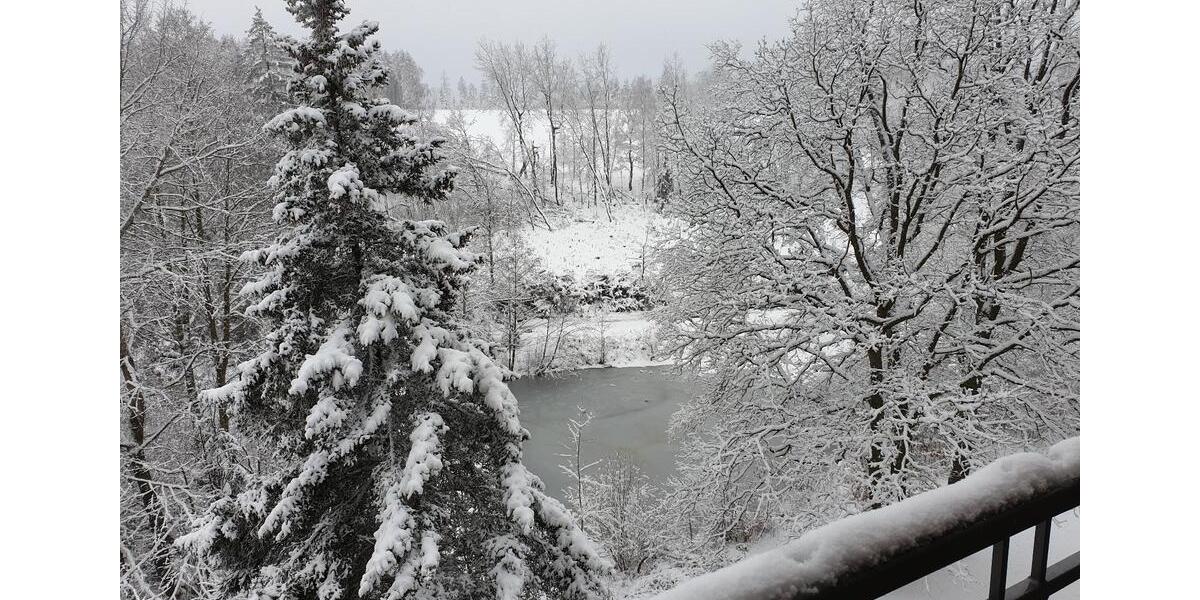 Renovierte+Vermietete Wohnung in Brilon mit Balkon +6%Mietrendite 1.5 zimmer