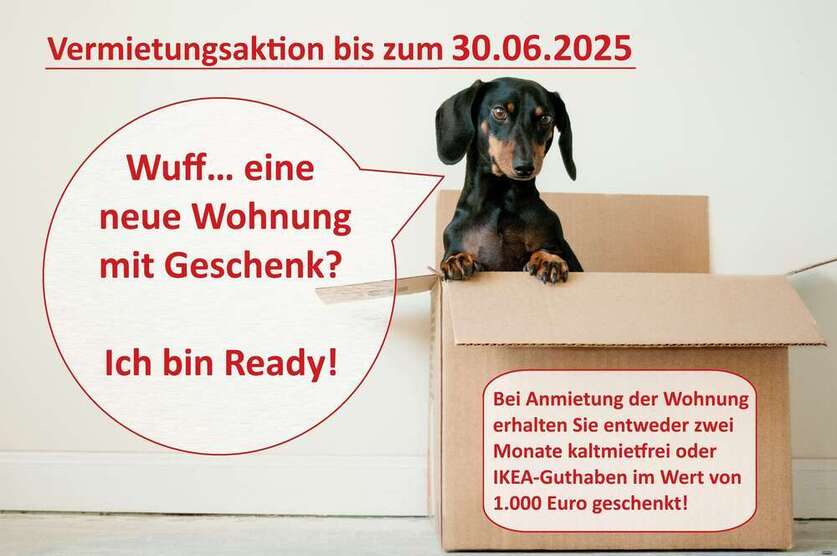 Wohnung zum Mieten in Halle 550 € 68 m²