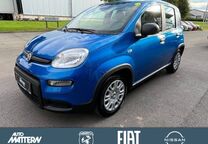 Gebrauchtwagen Fiat Panda