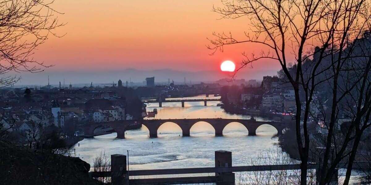 Haus zum Mieten in Heidelberg 8.000 € 360 m² 16 zimmer
