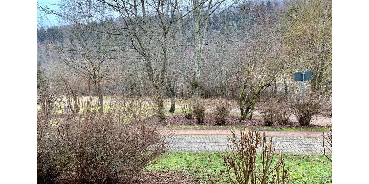 Terrassenwohnung Donaueschingen - 1 Zimmer, 35 m&sup2;, 360&euro; | Angebot:25407139