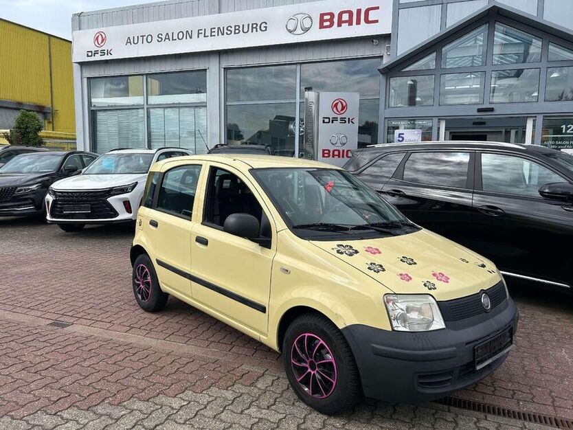 Panda