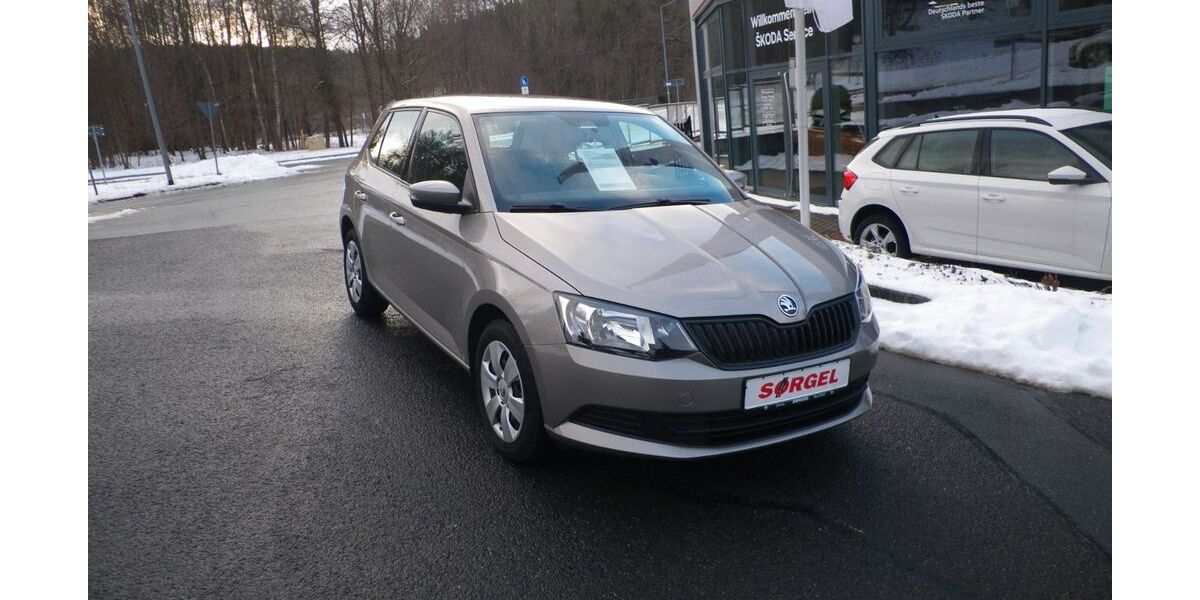 Skoda Fabia 79.600 km 9.690 &euro; Bad Elster 08645