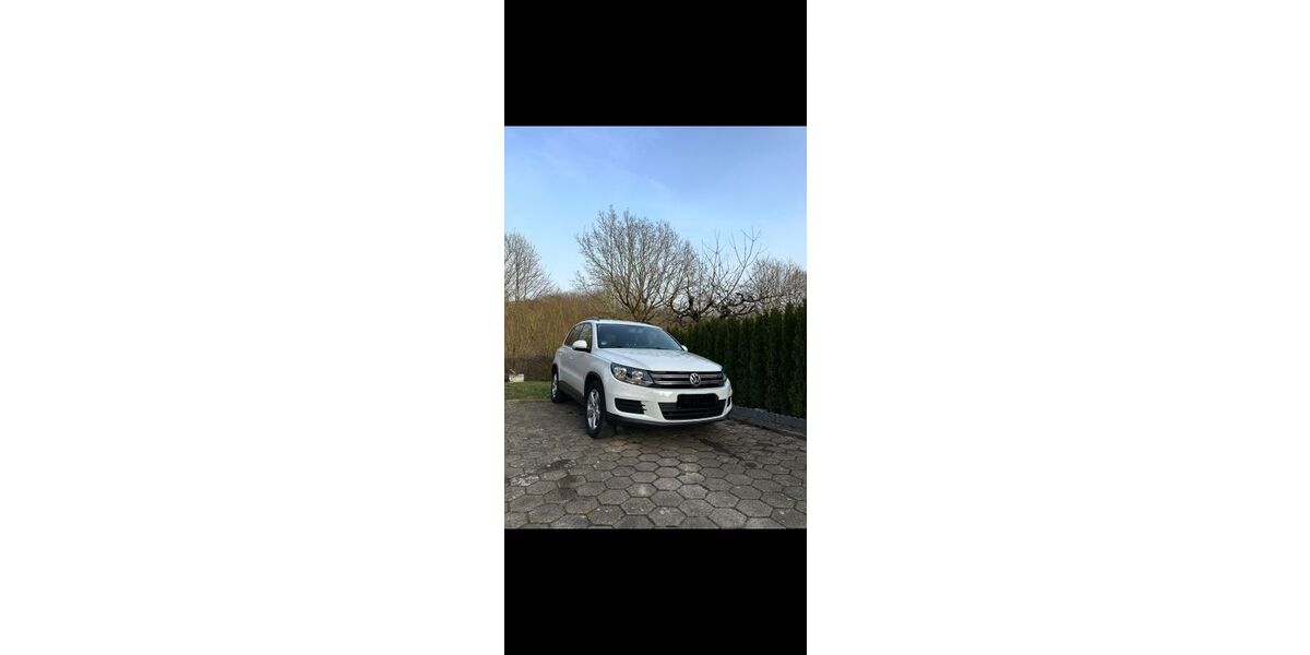 VW Tiguan 226.354 km 9.349 &euro; Blomberg, Lippe 32825