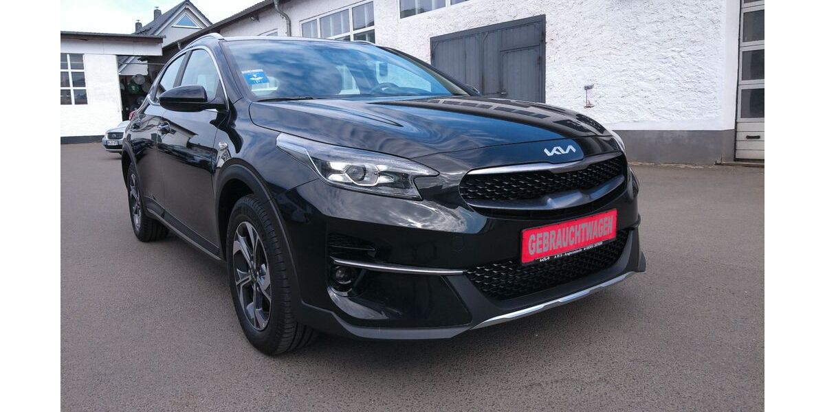 Kia XCeed 54.177 km 16.980 &euro; Angermünde 16278