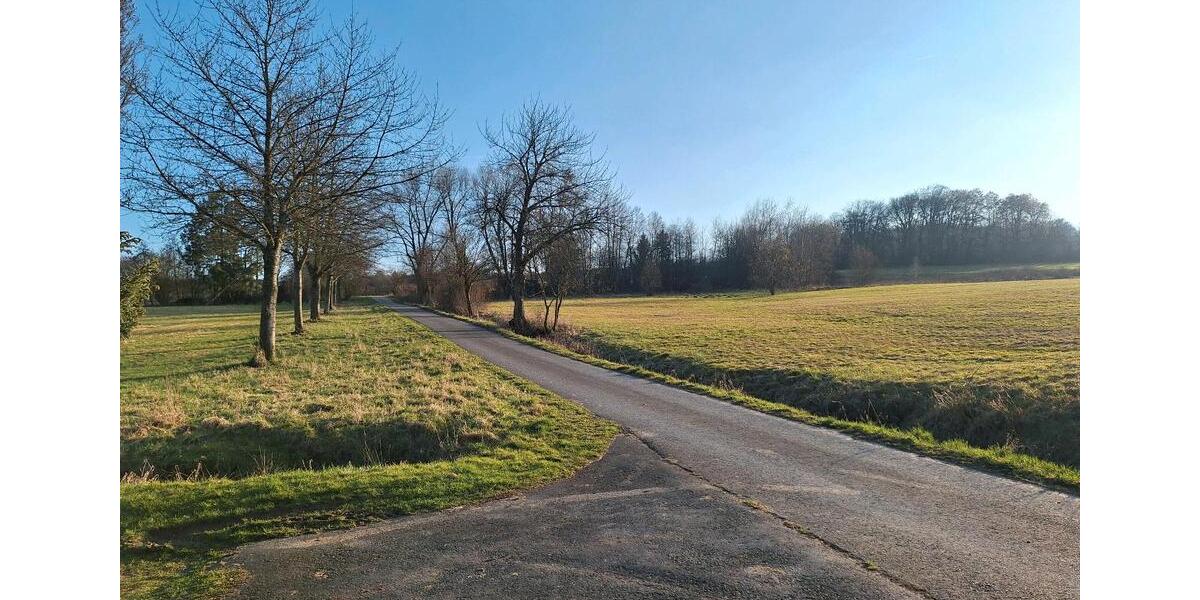 Bungalow Hattert - 4 Zimmer, 100 m&sup2;, 1.250&euro; | Angebot:25621470