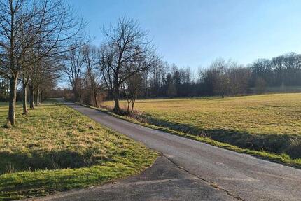 Haus Hattert - 4 Zimmer, 100 m&sup2;, 1.250&euro; | Angebot:25621470