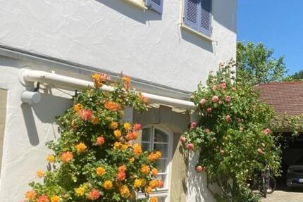 2-Zimmer Wohnung zu vermieten, teilmöbliert, EG, Herrenberg-Kayh 2 zimmer