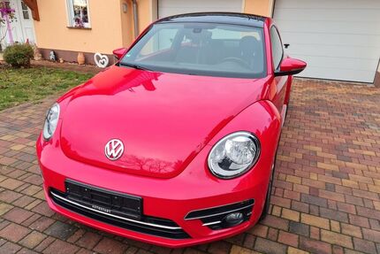 VW Beetle