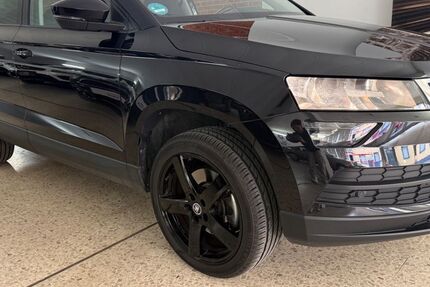 Skoda Karoq 100.000 km 16.490 &euro; Waldsee 67165