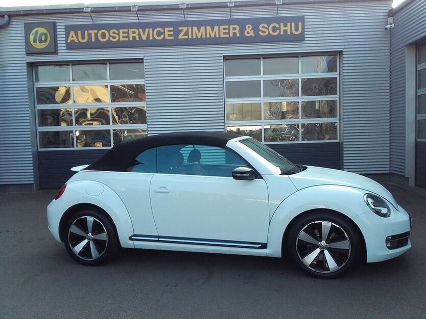 Beetle