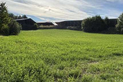 Grundstück in Hohenberg an der Eger 150.000 € 6038 m² zimmer