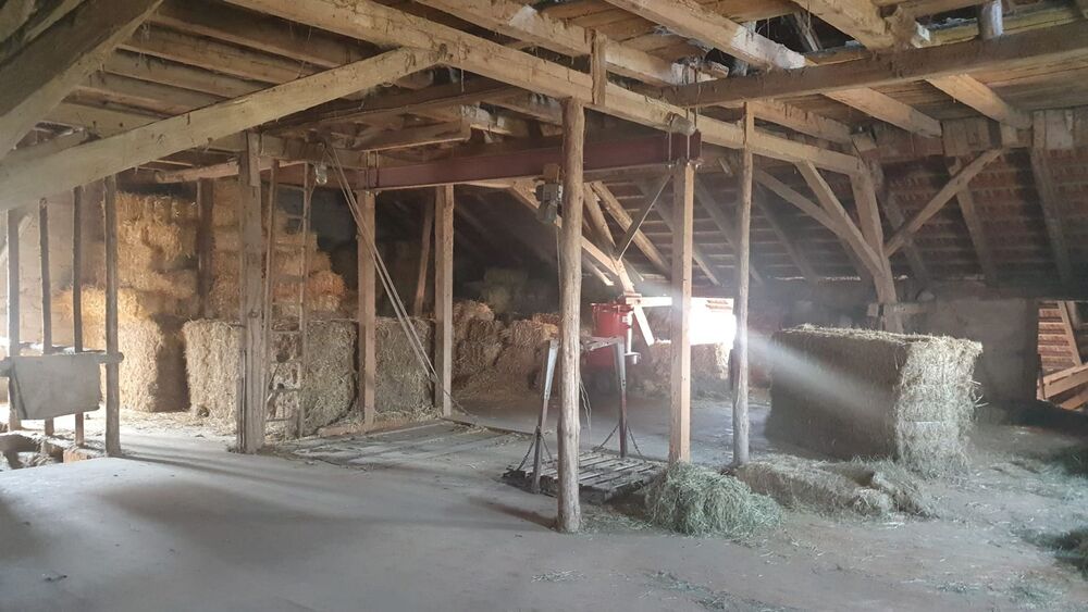 Attraktiver Reiterhof mit vielseitigem Nutzungspotenzial - Einfamilienhaus Bad Neustadt Brendlorenzen | Angebot:27054184