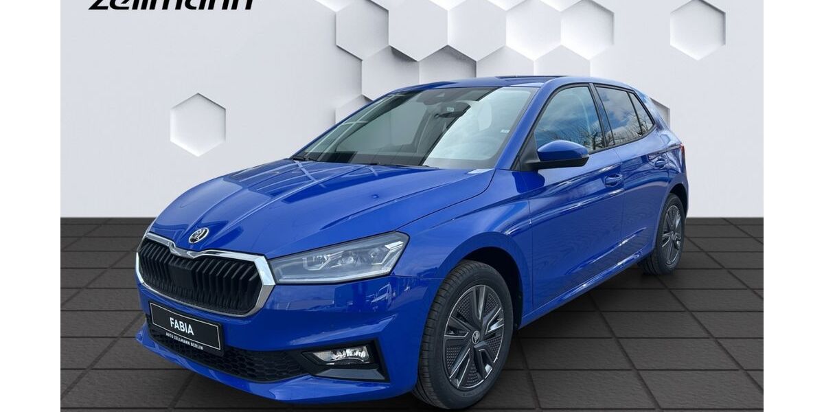 Skoda Fabia 1.500 km 23.943 &euro; Berlin 12524