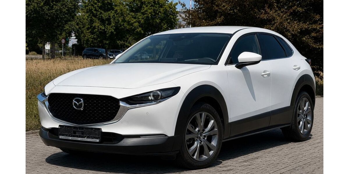 Mazda CX-3 88.785 km 18.995 &euro; Bickenbach 64404
