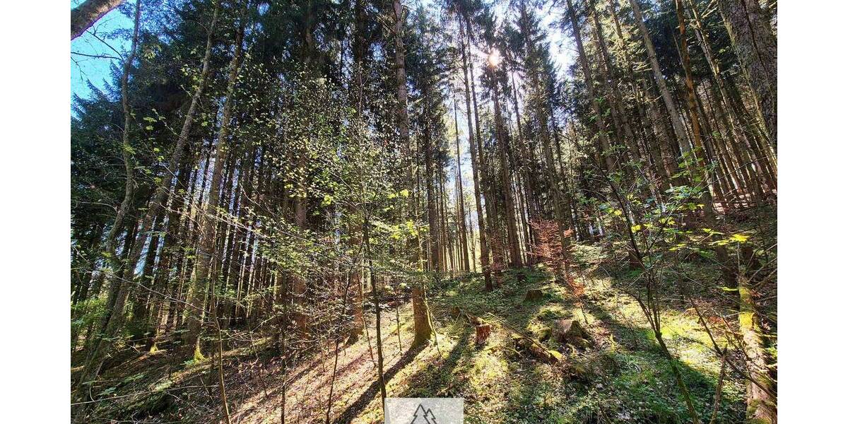 Grundstück Mainhardt Ammertsweiler - 34.900&euro; | Angebot:26798338