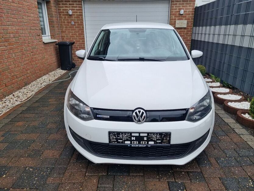 Polo