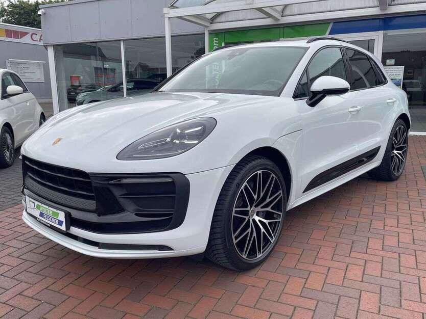 Macan