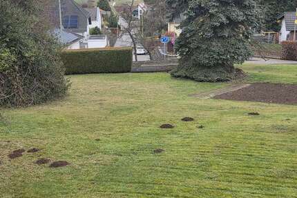 Grundstück zu verkaufen in Nideggen 150.000 € 734 m² zimmer