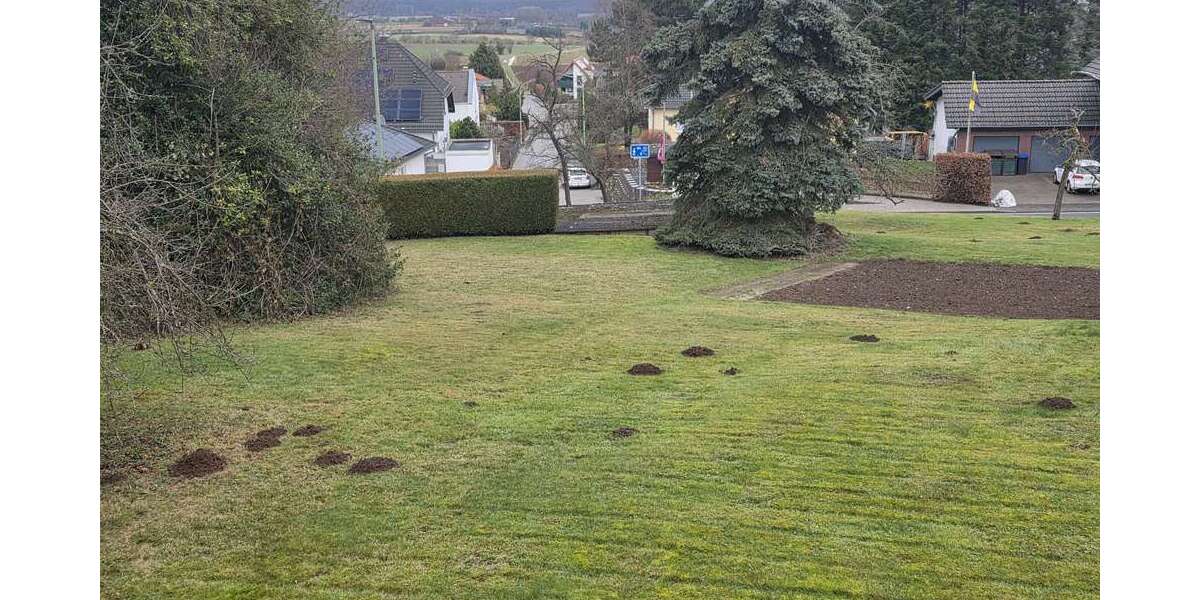 Grundstück zu verkaufen in Nideggen 150.000 € 734 m² zimmer