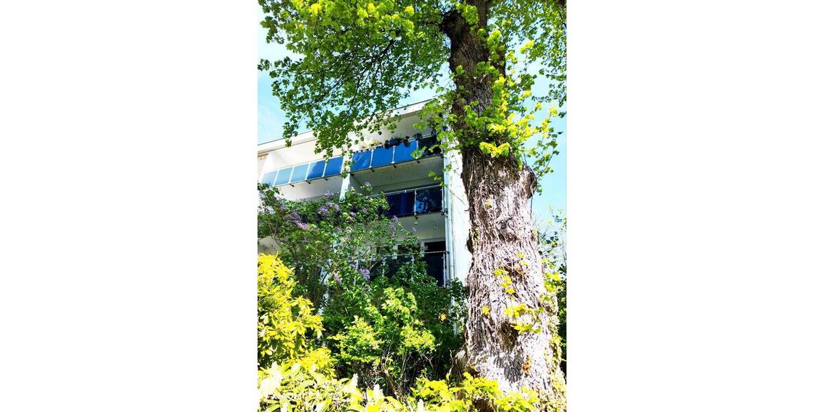 Etagenwohnung Lügde - 2 Zimmer, 60 m&sup2;, 109.000&euro; | Angebot:26414872