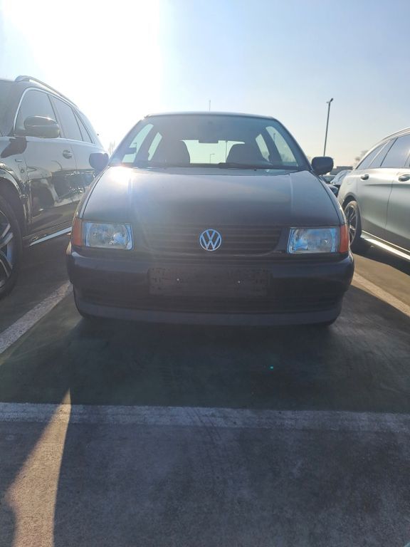 Polo