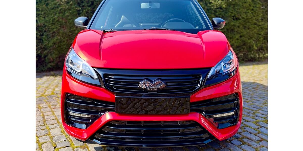 Ligier JS 50 15.200 km 13.900 &euro; Niederdorla 99986