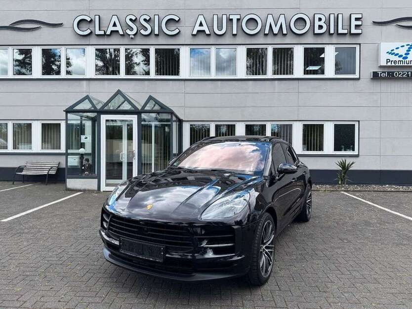 Macan