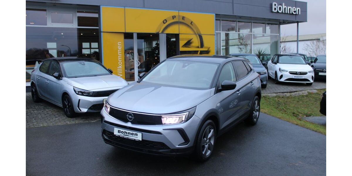 Opel Grandland (X) 55.800 km 19.999 &euro; Prüm 54595
