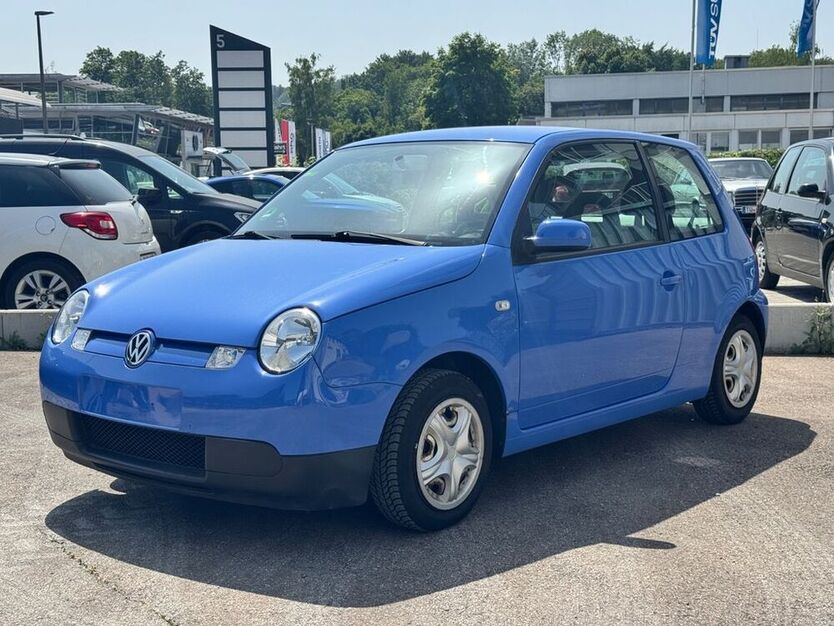 Lupo