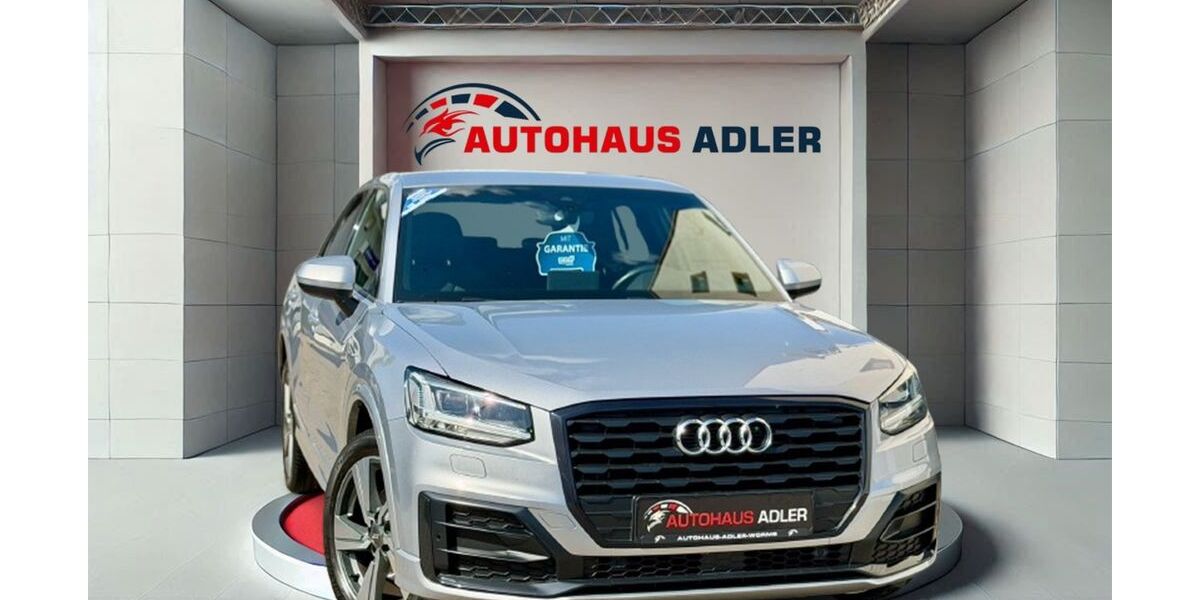 Audi Q2 137.900 km 19.990 &euro; Worms 67549