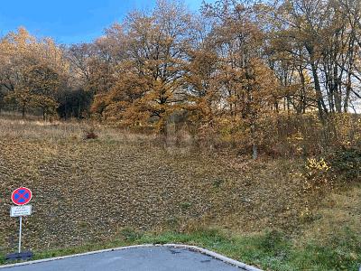 BAUAREAL IN NATURNAHER LAGE - Grundstück Bad Berneck im Fichtelgebirge | Angebot:26162288