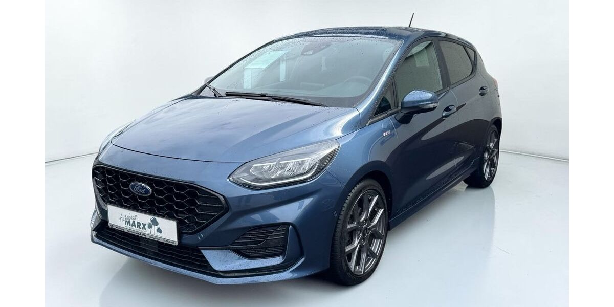 Ford Fiesta 30.700 km 17.900 &euro; Berglicht 54426