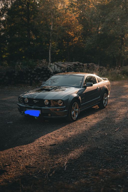Mustang