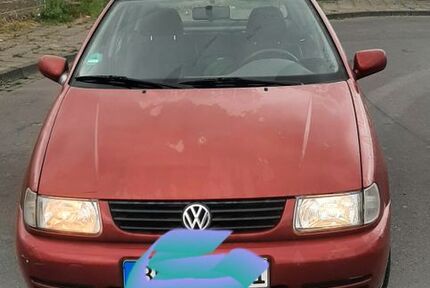 VW Polo
