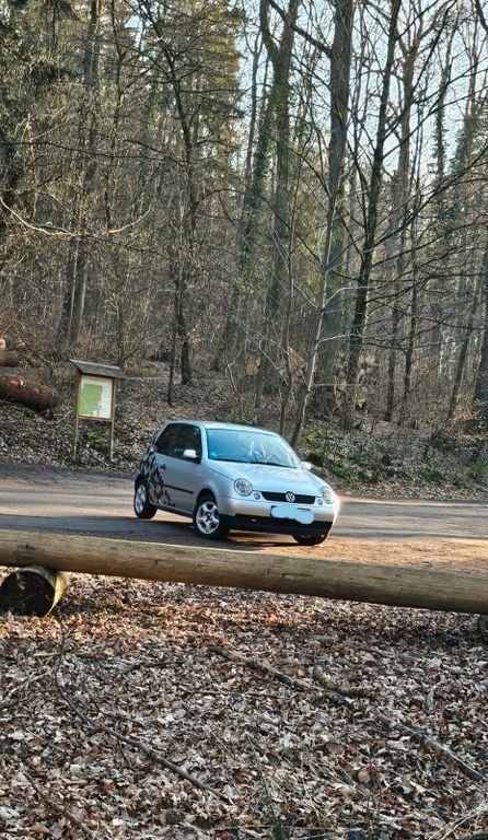 Lupo