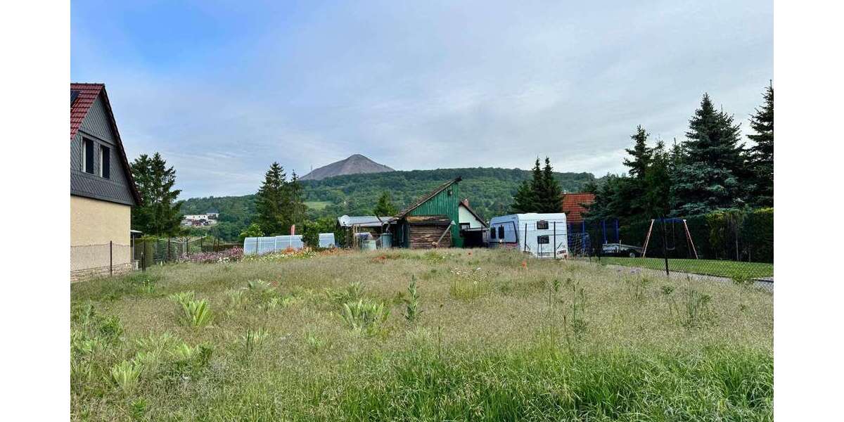 Grundstück Sangerhausen - 24.000&euro; | Angebot:21299709