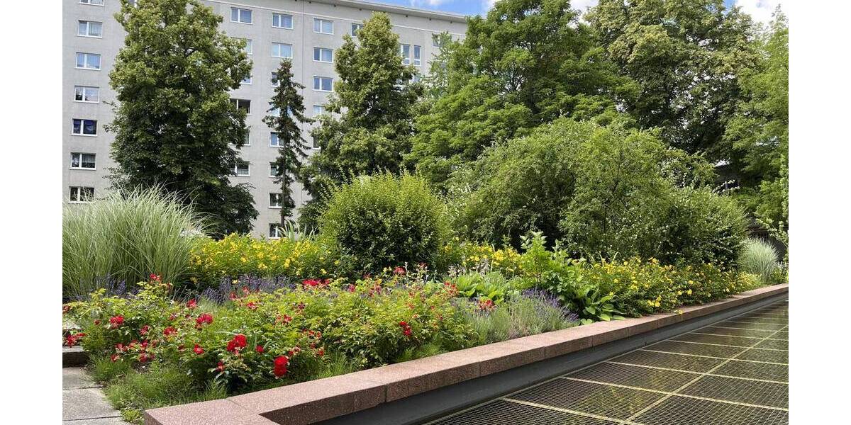 Gewerbeobjekt Chemnitz Zentrum - 8 Zimmer, 138 m&sup2;, 1.375&euro; | Angebot:26695881