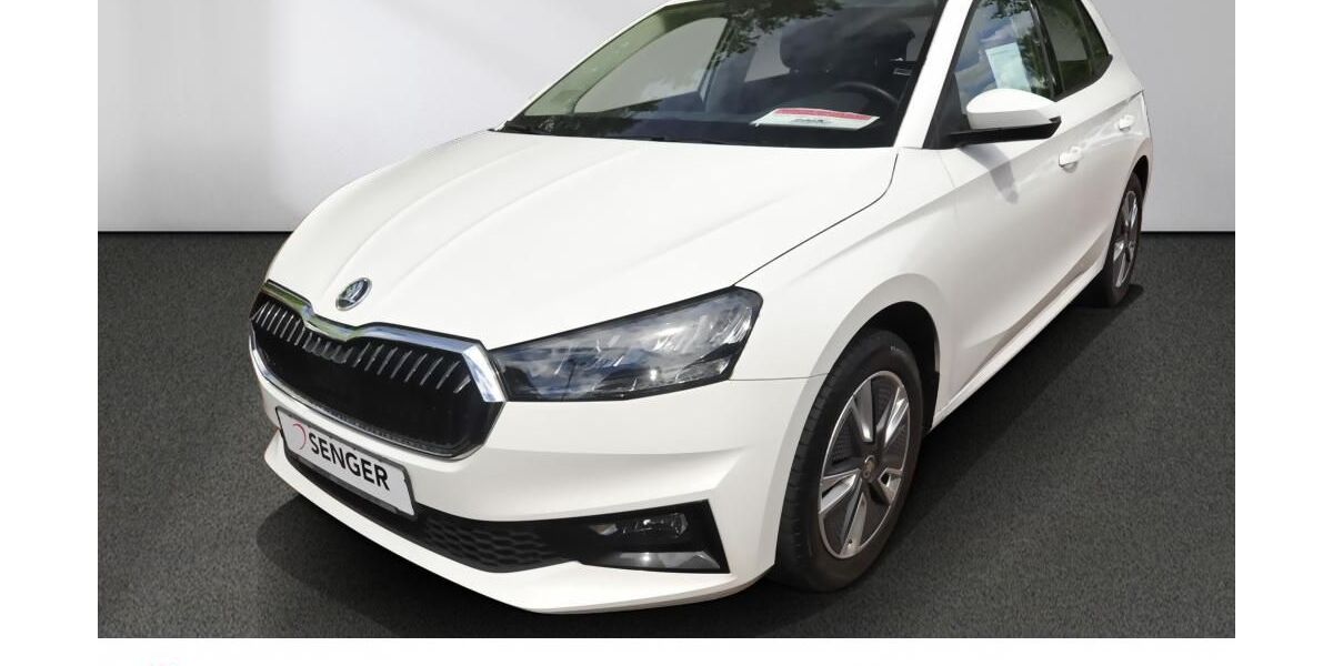 Skoda Fabia 78.050 km 14.280 &euro; Bad Schwartau 23611