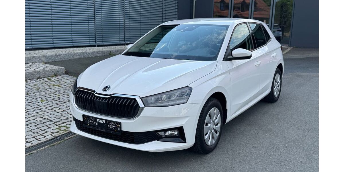 Skoda Fabia 9.081 km 14.950 &euro; Creussen 95473