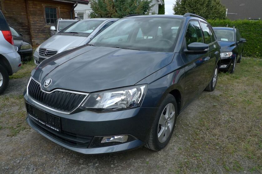 Skoda Fabia 29.000 km 12.450 € Holtensen 30974