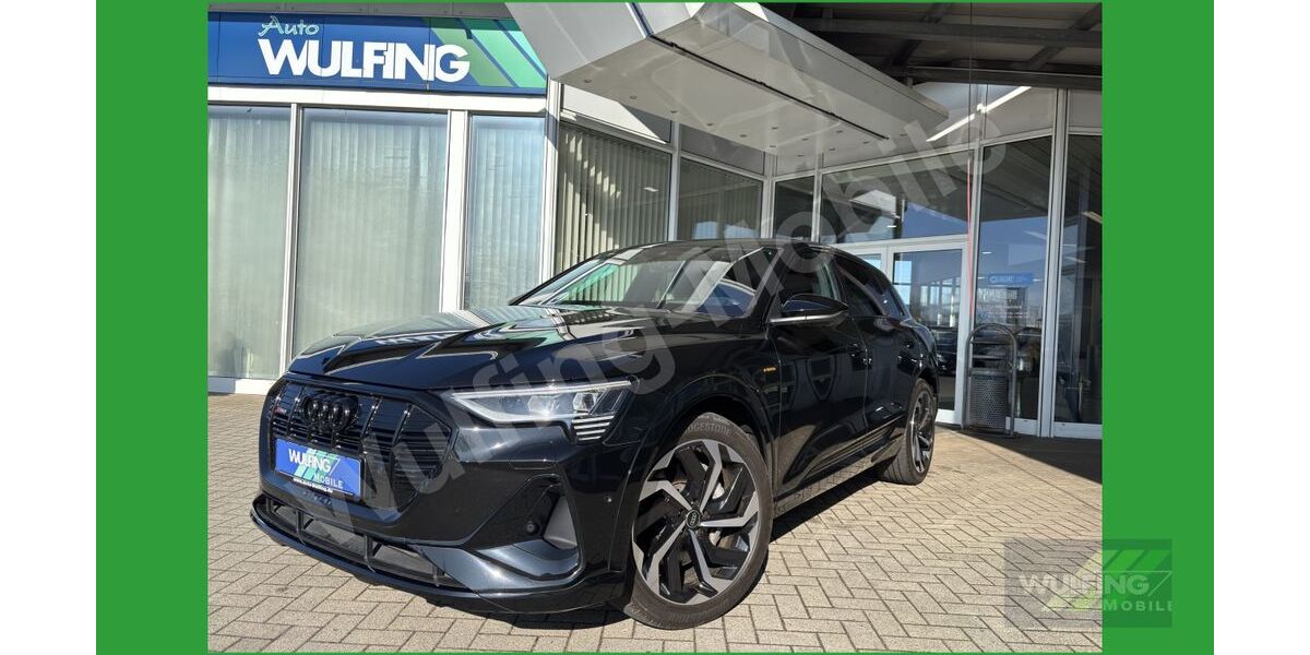 Audi e-tron 39.300 km 44.890 &euro; Lohne 49393