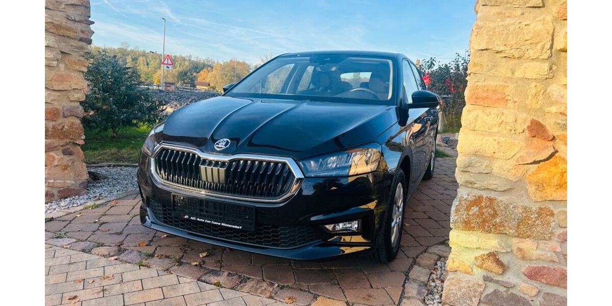 Skoda Fabia 6.997 km 16.280 &euro; Meuselwitz OT Wintersdorf 04610