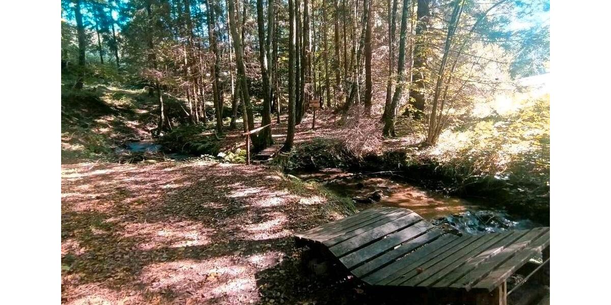 Ferienimmobilie Neukirchen bei Heiligen Blut - 100&euro; | Angebot:11058940